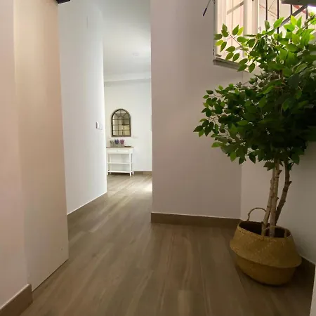 La Des Couleurs - En Pleno Centro De *