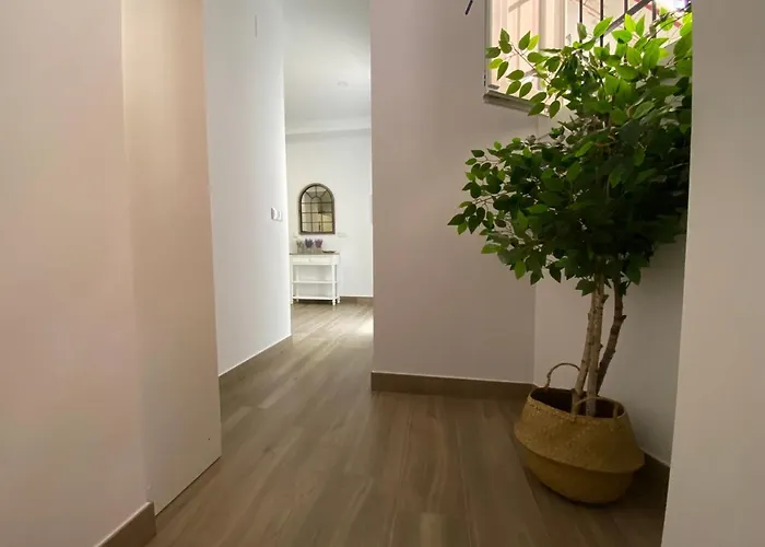 La Des Couleurs - En Pleno Centro De *